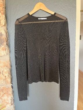 ZARA sheer mesh long sleeve top S